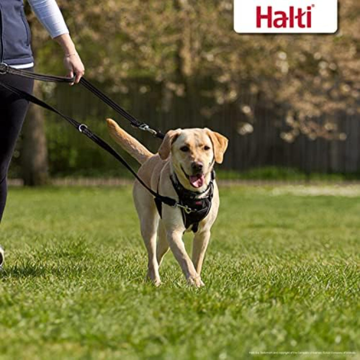 Double Ended Dog Training Lead – Adjustable Training Leash for Medium and Large Dogs, Black