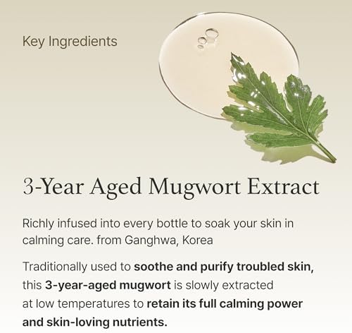Mugwort Essence 5.4 fl oz – 100% Vegan, Soothes Sensitive Skin, Redness Relief, Hydrating Toner