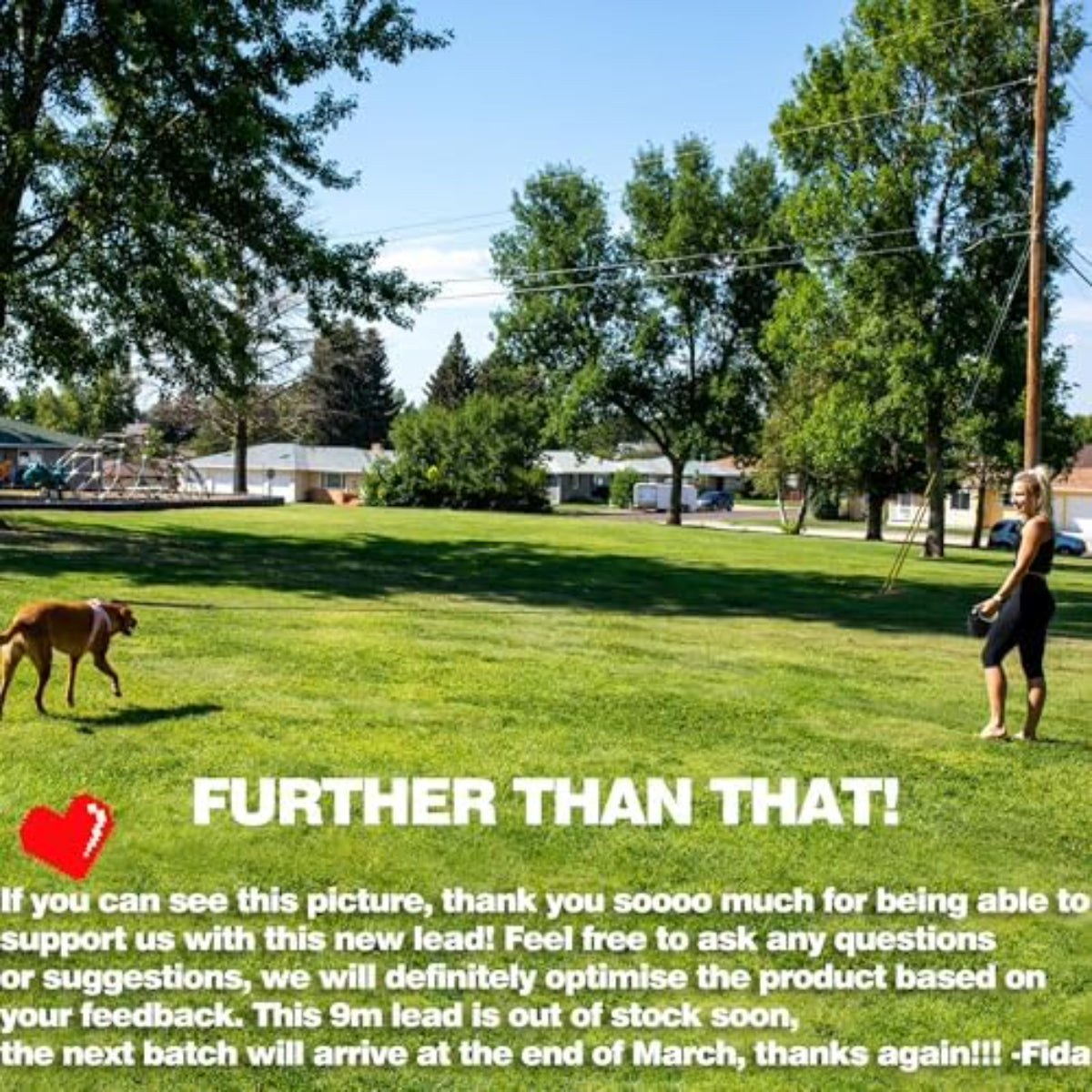 Retractable Dog Lead 9m/30FT – Heavy Duty Extendable Cord for Medium and Large Dogs up to 50kg, Black