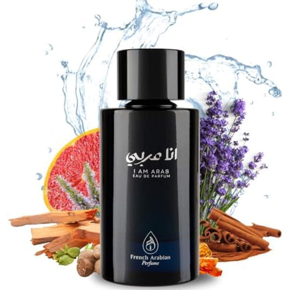 Ana Arabic Eau De Parfum 100ml for Men – Spicy, Woody & Fresh Aromatic Fragrance, Long-Lasting Scent